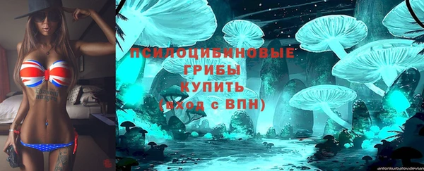 гашик Кинешма