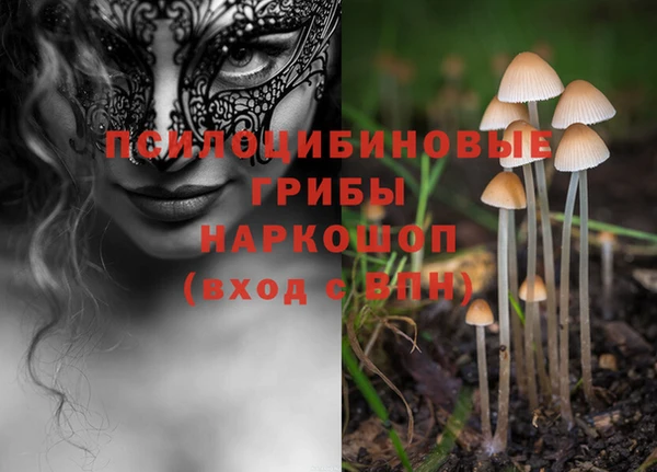 соль ск Пролетарск