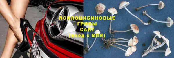 ПСИЛОЦИБИНОВЫЕ ГРИБЫ Киренск