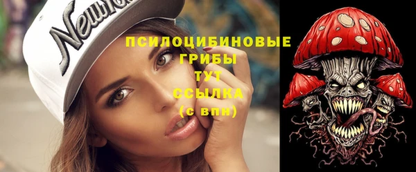 гашик Кинешма