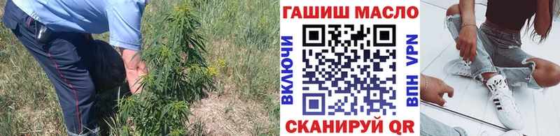 Дистиллят ТГК гашишное масло  Купить где  Ветлуга 
