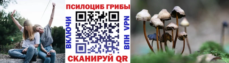 Купить закладки Ветлуга Псилоцибиновые грибы MAGIC MUSHROOMS